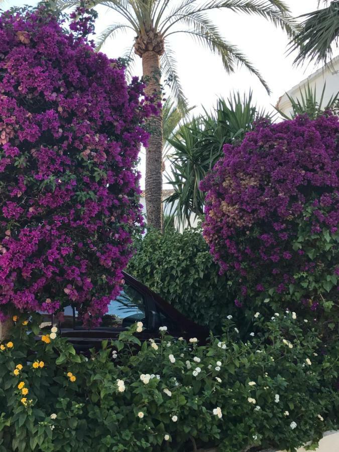 Oasis Paradise Dénia Eksteriør billede